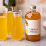 Mimosa (Tangerine & Mango) Cocktail & Mocktail Mixer, 16 fl oz